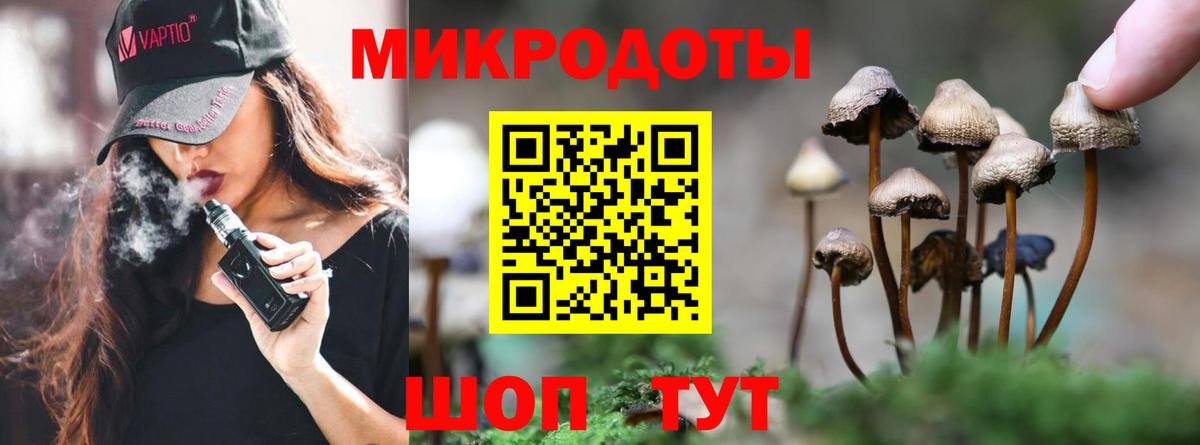 Луга  Галлюциногенные грибы мухоморы  Вход с VPN 